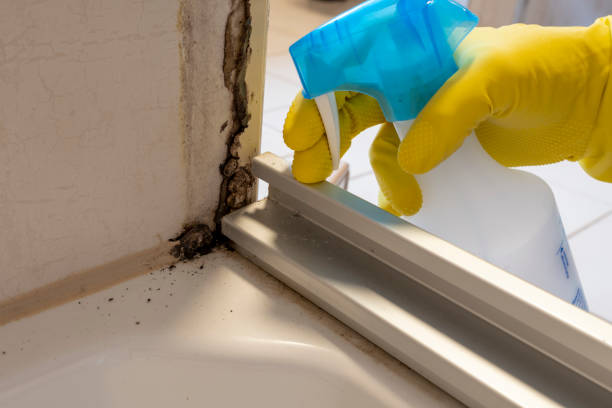 Best Mold Cleaning Services  in West Sharyland, TX