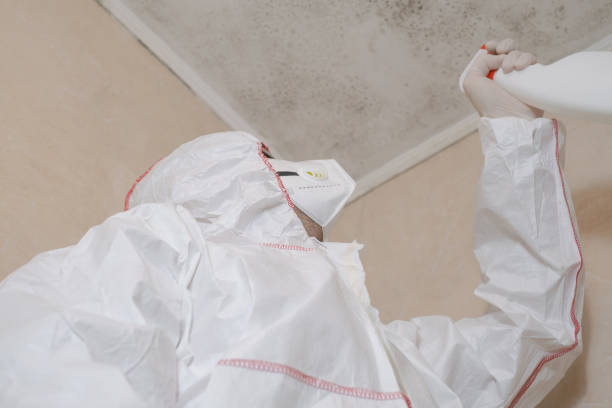 Best Affordable Mold Removal  in West Sharyland, TX