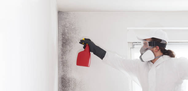 Best Mold Testing  in West Sharyland, TX