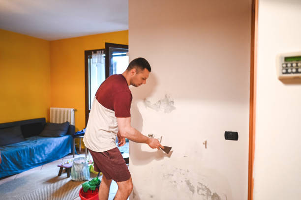 Best Mold Removal Near Me  in West Sharyland, TX
