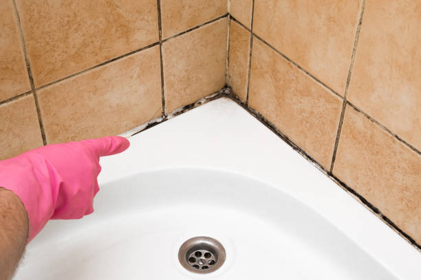 Best Emergency Mold Removal  in West Sharyland, TX